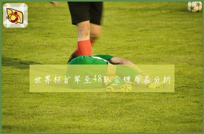 世界杯扩军至48队合理与否分析
