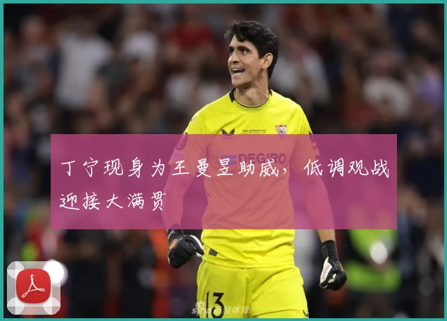 丁宁现身为王曼昱助威，低调观战迎接大满贯