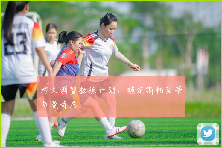 尤文调整教练计划，锁定斯帕莱蒂与曼奇尼