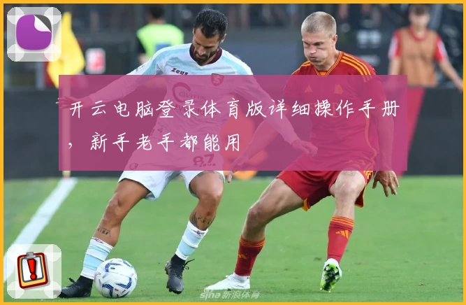 开云电脑登录体育版详细操作手册,新手老手都能用