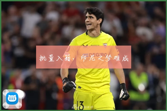 批量入籍，印尼之梦难成