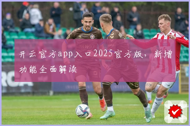 开云官方app入口2025官方版，新增功能全面解读